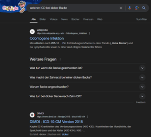 Bild Google ICD Backe